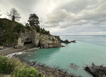 new-zealand/blenheim/attraction/monkey-bay-blenheim-nz