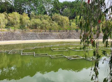 vietnam/dalat/tuyen-lam-lake/attraction/tinh-tam-lake-truc-lam-zen-monastery