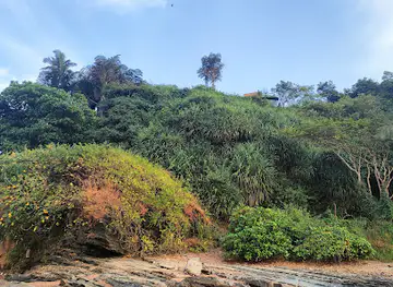 Little Vagator Beach