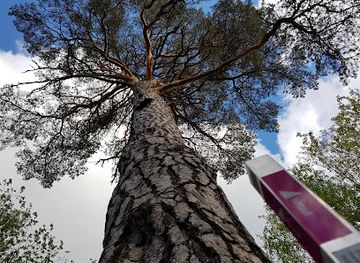 sweden/linkoping/attraction/oxhagen