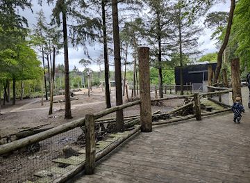 netherlands/amersfoort/attraction/savanne