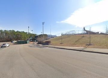 alabama/cahaba-river/attraction/hoover-met-stadium