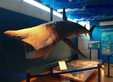 italy/salento/attraction/marine-biology-museum