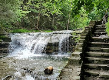 new-york/watkins-glen/attraction/robert-h-treman-state-park