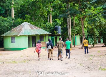 togo/central-region/attraction/tafi-atome-monkey-sanctuary-and-cultural-village