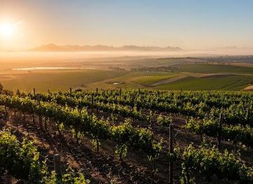 south-africa/cape-town/attraction/diemersdal-wine-estate