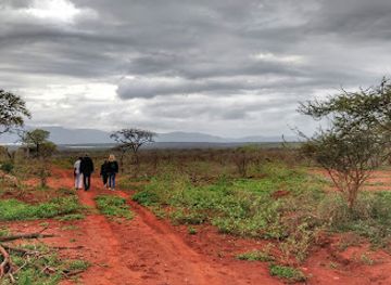 eswatini/lavumisa-border-post/attraction/pongola-game-reserve