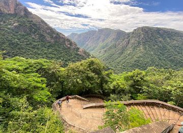 india/tamil-nadu/attraction/aagaya-gangai-falls-kollimalai