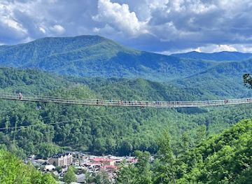 tennessee/great-smoky-mountains-national-park/attraction/skycenter