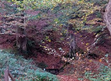 serbia/podrinje/attraction/izvor-pod-bukvom