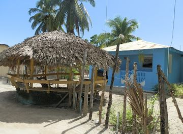 dominican-republic/bavaro/attraction/tatos-palm-beach