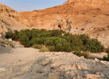 israel/masada/attraction/wadi-bokek