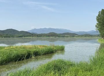 south-korea/yeongdong-region/attraction/upo-wetlands