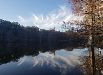 mississippi/the-hills/attraction/leroy-percy-state-park