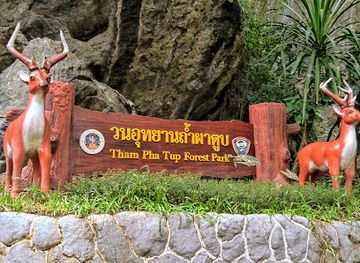 thailand/nan/attraction/tham-pha-tub-forest-park