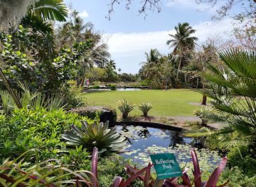 florida/naples-beach/attraction/naples-botanical-garden