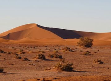morocco/sais/attraction/adventures-desert
