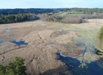 lithuania/utena/attraction/pajuodupio-pelke