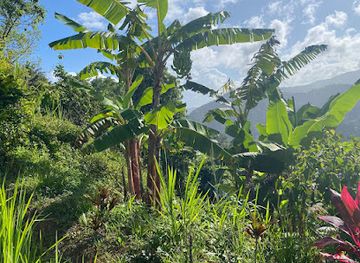 dominica/saint-david/attraction/horseback-ridge
