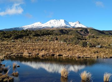new-zealand/tongariro-national-park/attraction/waitonga-falls-walk-trailhead