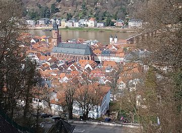 germany/heidelberg/attraction/klingenteichwasserfall