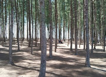 malaysia/kelantan/attraction/pantai-senok