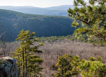 arkansas/ozark-national-forest/attraction/redding-spy-rock-loop-trailhead
