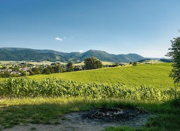 slovakia/zilina-region/attraction/zilina-forest-park