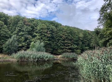 hungary/mecsek/attraction/aligvarom-to