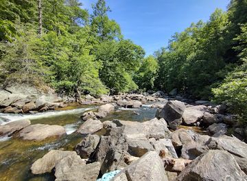north-carolina/great-smoky-mountains/attraction/bust-your-butt-falls