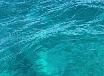 the-bahamas/bimini-islands/attraction/neal-watson-bimini-scuba-center