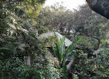 guatemala/pacaya-volcano/attraction/montana-la-negra