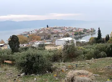 Ağlayan Çınar