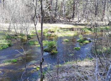 estonia/estonian-islands/attraction/odalatsi-allikad