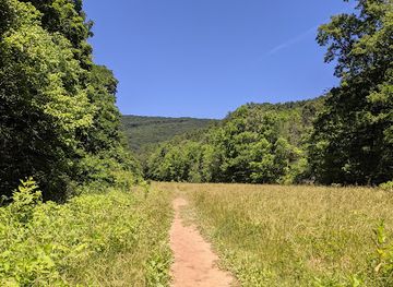 virginia/grayson-highlands-state-park/attraction/falls-ridge-preserve