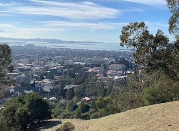 california/berkeley/attraction/big-c