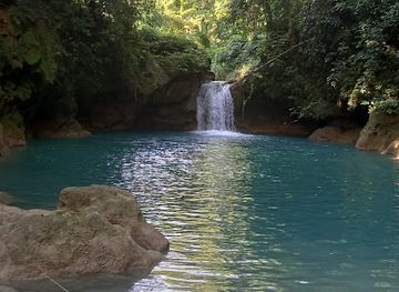 jamaica/cornwall-county/attraction/pacus-tours-transfers