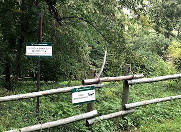 poland/bieszczady-mountains/attraction/cmentarz-w-hulskiem