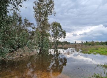 israel/central-district/attraction/rehovot-winter-pond