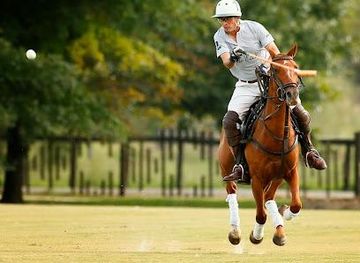 argentina/buenos-aires/attraction/polo-elite