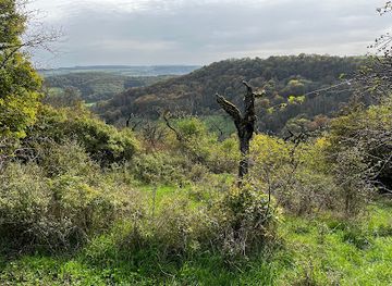 luxembourg/moselle-valley/attraction/sentier-nature-manternacher-fiels
