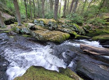 connecticut/housatonic-valley/attraction/peterson-memorial-park