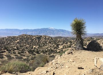 california/joshua-tree-national-park/attraction/panorama-loop-trail