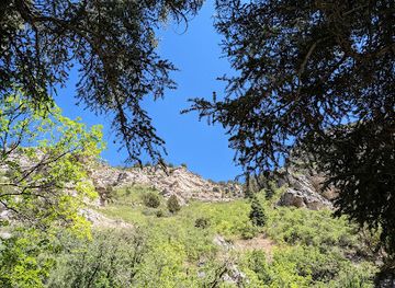 utah/uinta-wasatch-cache-national-forest/attraction/little-rock-canyon-trail