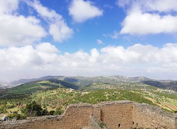 jordan/ras-al-naqb/attraction/ajloun-castle