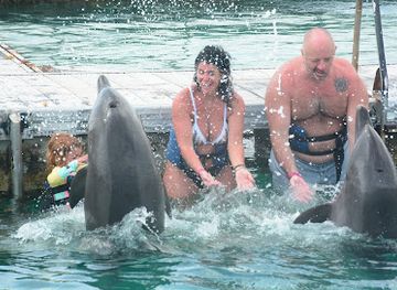 dominican-republic/punta-cana/punta-cana-village/attraction/dolphin-island-park