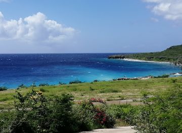 curacao/boca-pistol/attraction/curacao-rock-flag