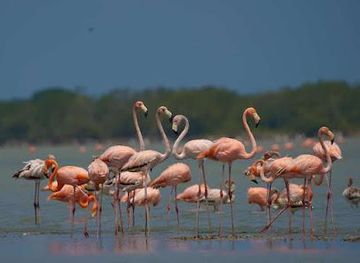 colombia/riohacha/attraction/ecotour-wayuu