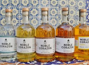 mexico/puerto-vallarta/attraction/tequila-raicilla-tasting-by-noble-corazon