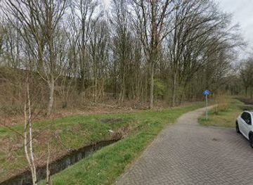 netherlands/zwolle/attraction/forest